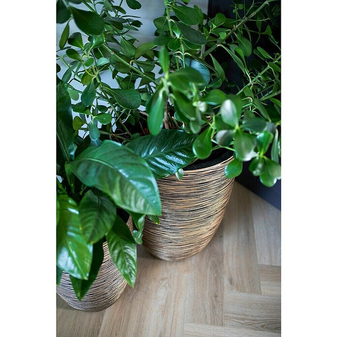 Capi Europe Bloempot (Ø x h: 46 x 58 cm, Black gold, Rotanlook) | BAUHAUS