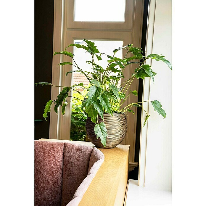 Capi Europe Bloempot (Ø x h: 21,5 x 18 cm, Gold black) | BAUHAUS