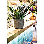 Capi Europe Bloempot (Ø x h: 23,5 x 21 cm, Gold black) | BAUHAUS