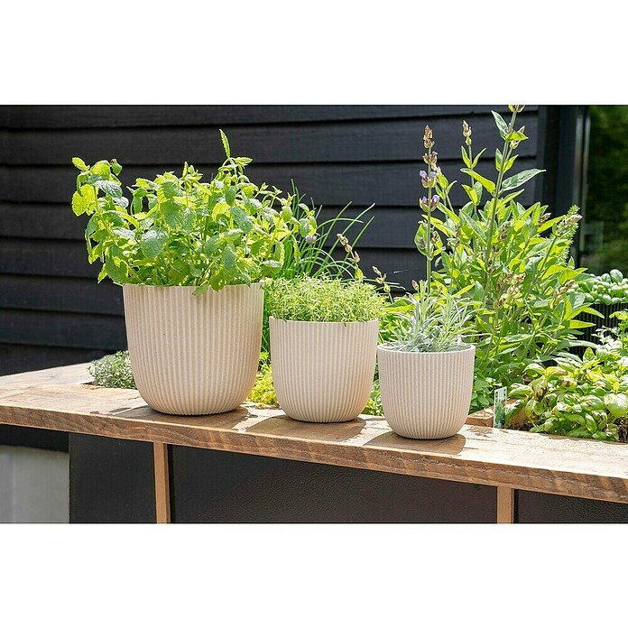 Capi Europe Bloempot (Ø x h: 21,5 x 20 cm, Black gold) | BAUHAUS
