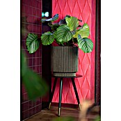 Capi Europe Bloempot (Ø x h: 35,6 x 38 cm, Black gold) | BAUHAUS