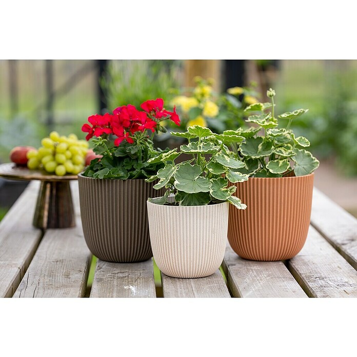 Capi Europe Bloempot (Ø x h: 16,5 x 15 cm, Peachy fuzz) | BAUHAUS