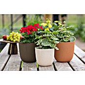 Capi Europe Bloempot (Ø x h: 16,5 x 15 cm, Peachy fuzz) | BAUHAUS