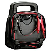 AEG Batterie-Ladegerät LG 12 (Ladestrom: 12 A, Geeignet für: Auto) | BAUHAUS