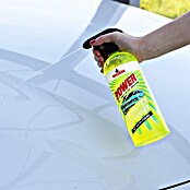 Nigrin Insektenentferner Power mit Aktiv-Formel (750 ml) | BAUHAUS