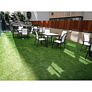 Césped artificial Jardín (10 x 2 m, Altura del pelo: 10 mm, 70.800 puntadas/m²)