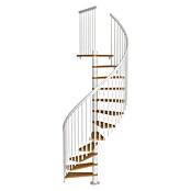 Sogem Escalera de caracol Calgary (Diámetro: 140 cm, Color peldaños: Haya, Altura de planta: 244,8 cm - 280,8 cm) | BAUHAUS