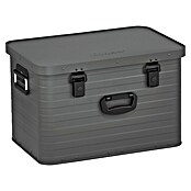 Enders Caja de almacenaje y transporte Toronto (An x Pr x Al: 56,8 x 37,7 x 36 cm, Aluminio, 63 l) | BAUHAUS