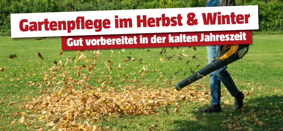 Gartenpflege im Herbst und Winter