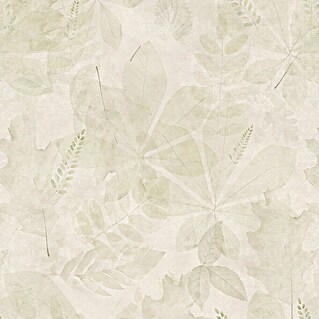 Papel pintado de vinilo autoadhesivo Demeter (Beige, L x An: 280 x 65 cm)