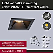 Paulmann Led-inbouwspotset (Zwart, 3 st., Warm wit) | BAUHAUS