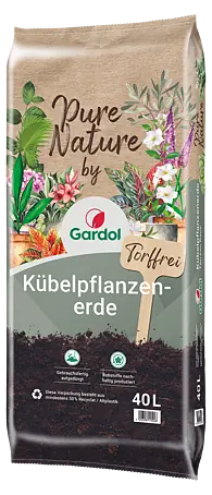 terrarium zimmerpflanzen Terrarium DIY Set - Kreiere dein eigenes Mini-Ökosystem main image 0