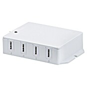 Paulmann Connectivity Module (IP20, Wit) | BAUHAUS