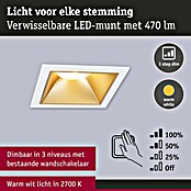 Paulmann Led-inbouwspotset (Wit / Goud, 3 st., Warm wit) | BAUHAUS