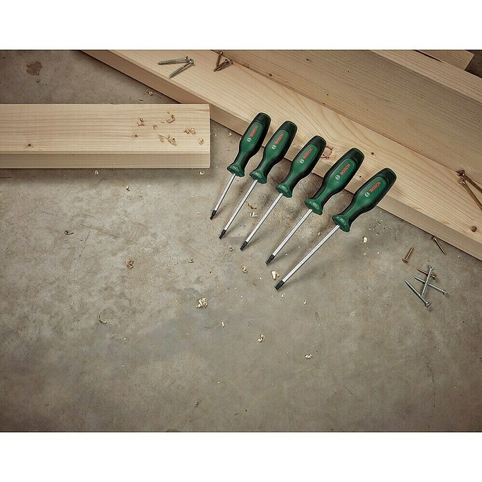 Bosch Set de destornilladores (5 pzs.) | BAUHAUS