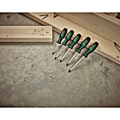 Bosch Set de destornilladores (5 pzs.) | BAUHAUS