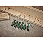 Bosch Set de destornilladores (6 pzs.) | BAUHAUS