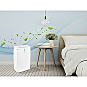 Purline Deshumidificador Dryos 16 (240 W, Potencia de deshumidificación: 16 l/día, Blanco, 55 l) | BAUHAUS