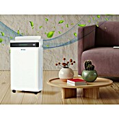 Purline Deshumidificador Dryos 20 (440 W, Potencia de deshumidificación: 20 l/día, Blanco, 5,5 l) | BAUHAUS