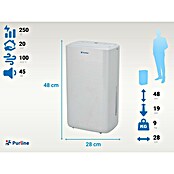 Purline Deshumidificador Dryos 12 (250 W, Potencia de deshumidificación: 12 l/día, Blanco, 2 l) | BAUHAUS