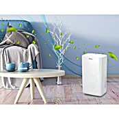 Purline Deshumidificador Dryos 12 (250 W, Potencia de deshumidificación: 12 l/día, Blanco, 2 l) | BAUHAUS