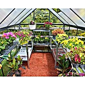 Palram – Canopia Invernadero Hybrid (Medidas ext. (An x Pr): 185 x 126 cm, 0,7 mm, Antracita) | BAUHAUS