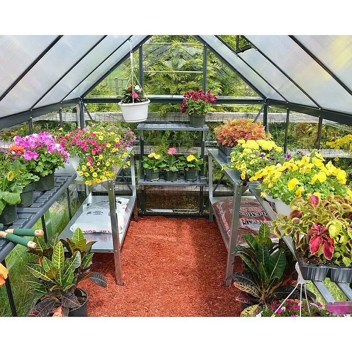 Palram – Canopia Gewächshaus Hybrid - Außenmaß inkl. Dachüberstand (B x T): 185 x 186 cm, Material Seitenwand: Metall, 0,7 mm, Grau - Innenansicht eines Gewächshauses mit Blumen auf Regalen und Bodenbelag.
