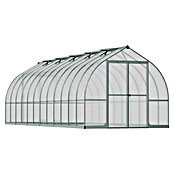 Palram – Canopia Invernadero Bella (Medidas ext. (An x Pr): 244 x 723 cm, 6 mm, Plateado) | BAUHAUS