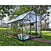 Palram Gewächshaus Hybrid (3,06 x 2,08 x 1,85 m, 0,7 mm, Polycarbonat, Anthrazit)