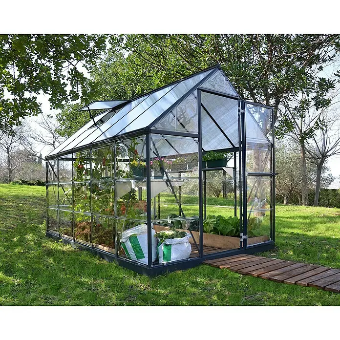 Palram – Canopia Gewächshaus Hybrid - Außenmaß inkl. Dachüberstand (B x T): 185 x 306 cm, 0,7 mm, Anthrazit - Ein geräumiges Gewächshaus im Garten, ausgestattet mit Regalen und voller Pflanzen, die durch die Glaswände sichtbar sind.