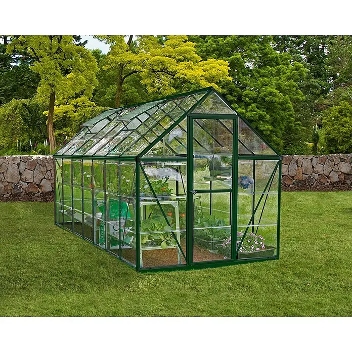 Palram – Canopia Gewächshaus Harmony - Außenmaß inkl. Dachüberstand (B x T): 185 x 426 cm, Grün, Grundfläche: 7,9 m² - Ein Gewächshaus mit transparenten Wänden und einem grünen Rahmen steht auf einem Rasen, umgeben von Bäumen und einer Steinmauer.