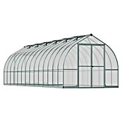 Palram – Canopia Invernadero Bella (Medidas ext. (An x Pr): 244 x 843 cm, 6 mm, Plateado) | BAUHAUS