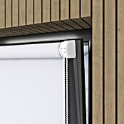 Rollo Easyfix (B x H: 120 x 150 cm, Weiß, Uni) | BAUHAUS