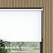 Rollo Easyfix (B x H: 120 x 150 cm, Weiß, Uni) | BAUHAUS