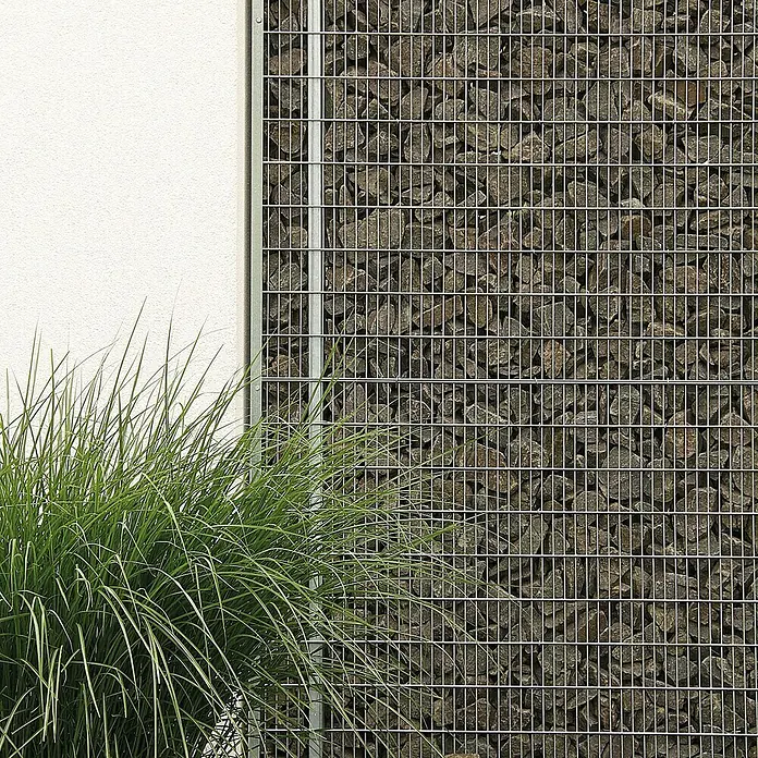 Bellissa Gabione BP-4 Grundbausatz Paravento117,8 x 12 x 201 cm, Stahl, Maschenbreite: 25 mm, Maschenhöhe: 100 mm - Gabionenwand mit Natursteinen und dekorativem Gras im Vordergrund, ideal für moderne Gartengestaltung und als Sichtschutz.