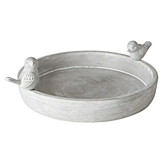 Boltze Vogeltränke Badum (Grau, L x B x H: 30 x 24 x 11 cm, Rund)