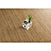 Egger Laminat NatureSense Asgil Eiche honig (Asgil Eiche honig, Landhausdiele, 1 292 x 193 x 8 mm) | BAUHAUS