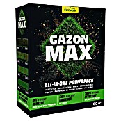 ECOstyle Gazonmest GazonMax (4 kg, 80 m²) | BAUHAUS