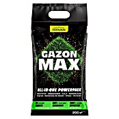 ECOstyle Gazonmest GazonMax (10 kg, 200 m²) | BAUHAUS