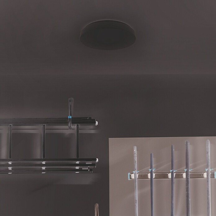 Steinel LED-Deckenleuchte rund RS 20 (9,4 W, Ø x H: 288 x 110 mm, Weiß, Warmweiß) | BAUHAUS