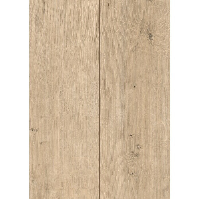 Egger Laminaat sample (297 x 327 x 8 mm, Planken) | BAUHAUS