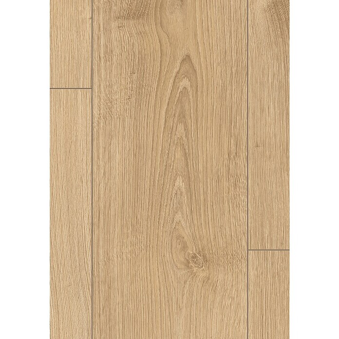 Egger Laminaat sample (297 x 193 x 8 mm, Planken) | BAUHAUS