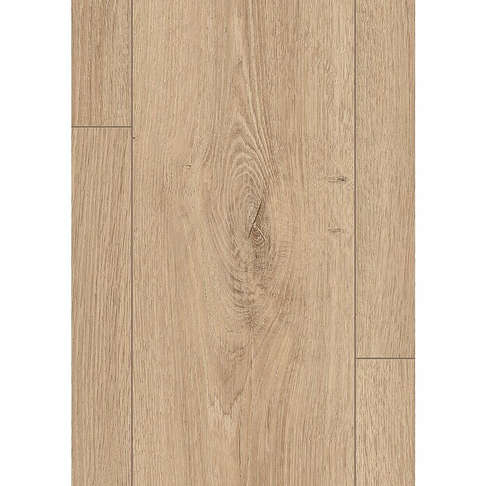 Egger Laminatmuster NatureSense Aqua (297 x 193 x 8 mm, Landhausdiele, Treviso Eiche braun) | BAUHAUS