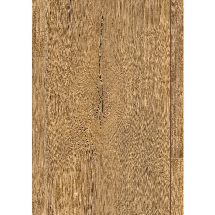 Egger Laminatmuster NatureSense Aqua (297 x 246 x 8 mm, Landhausdiele, Elva Eiche honig) | BAUHAUS
