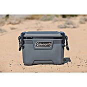 Coleman Kühlbox Convoy QT55 (L x B x H: 37 x 65 x 44 cm, Schwarz, 53 l) | BAUHAUS