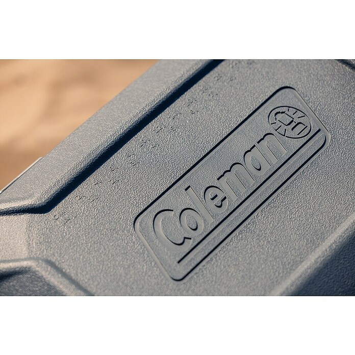 Coleman Kühlbox Convoy QT28 (L x B x H: 26 x 47 x 43 cm, Schwarz, 26,5 l) | BAUHAUS