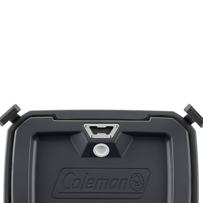Coleman Kühlbox Convoy QT28 (L x B x H: 26 x 47 x 43 cm, Schwarz, 26,5 l) | BAUHAUS