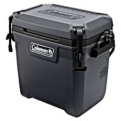 Coleman Kühlbox Convoy QT28 (L x B x H: 26 x 47 x 43 cm, Schwarz, 26,5 l) | BAUHAUS