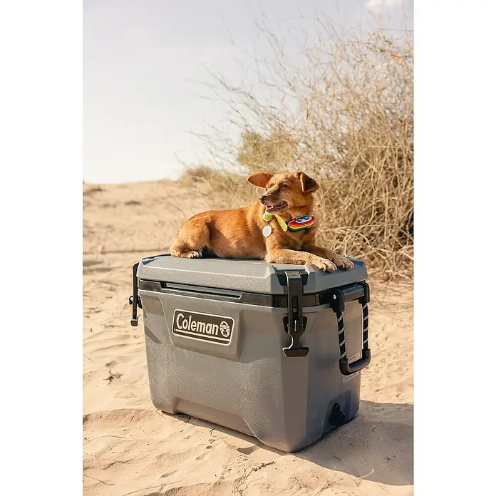 Coleman Kühlbox Convoy QT55 - L x B x H: 37 x 65 x 44 cm, Schwarz, 53 l - Coleman Kühlbox mit Hund. Diese robuste Kühlbox hält Ihre Getränke und Speisen kühl, während ein niedlicher Hund darauf entspannt.
