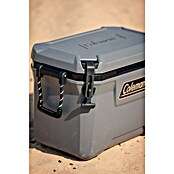 Coleman Kühlbox Convoy QT55 (L x B x H: 37 x 65 x 44 cm, Schwarz, 53 l) | BAUHAUS
